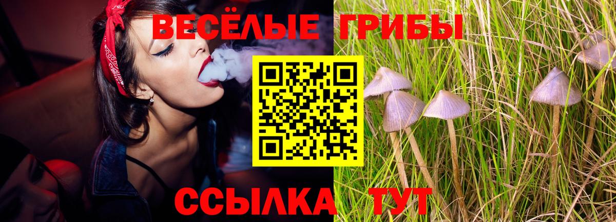 Канаш  Галлюциногенные грибы Magic Shrooms  Вход с VPN 